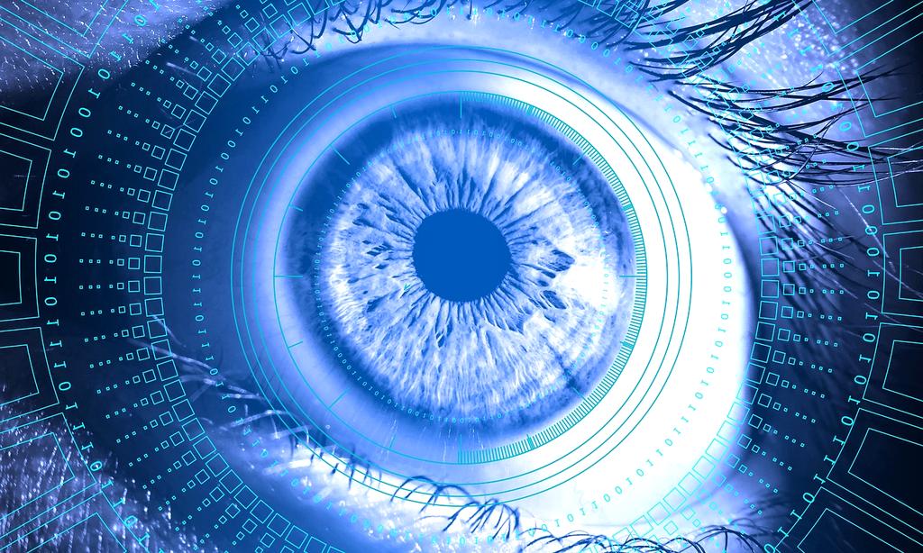 Biometric verification system badge